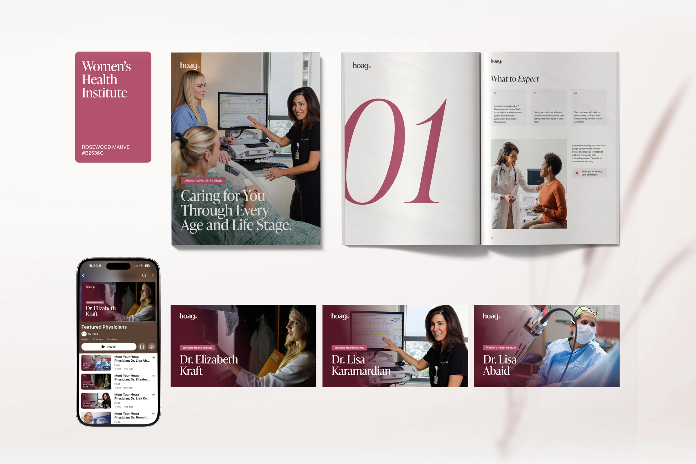 Hoag's primary brand colors and coordinated institute accent colors