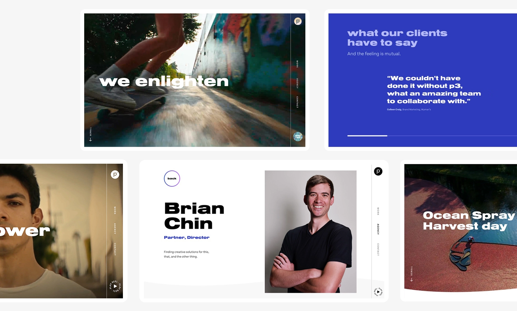 A flexible family of project pages